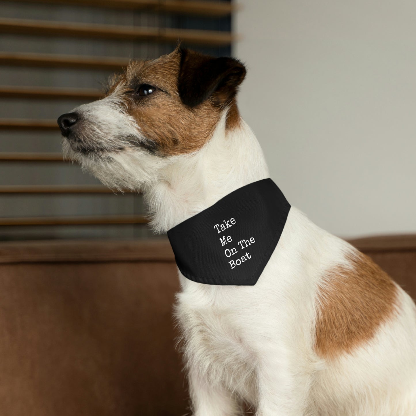 Take Me On The Boat - Cabin / Lake Theme - Pet Bandana Collar - Black