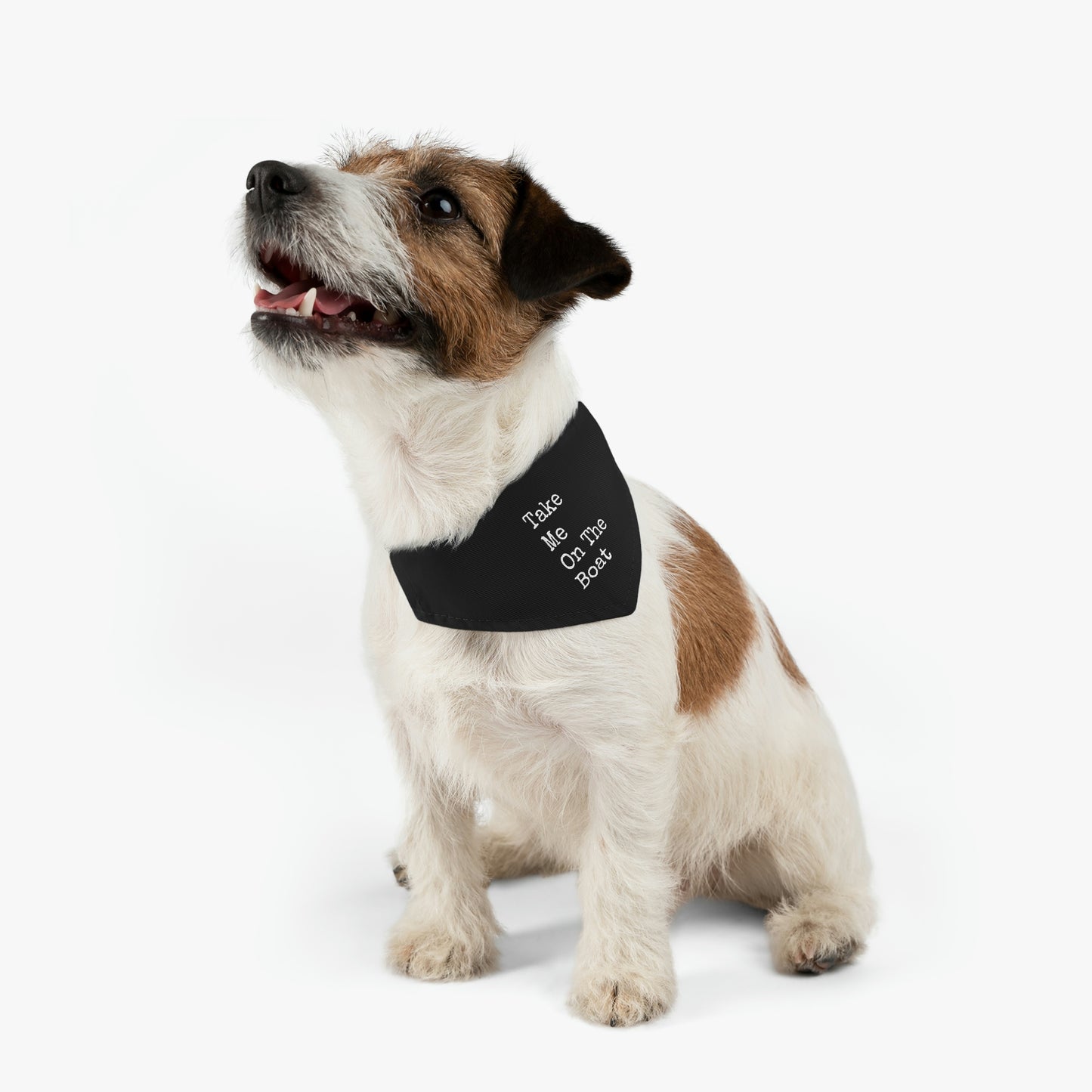 Take Me On The Boat - Cabin / Lake Theme - Pet Bandana Collar - Black