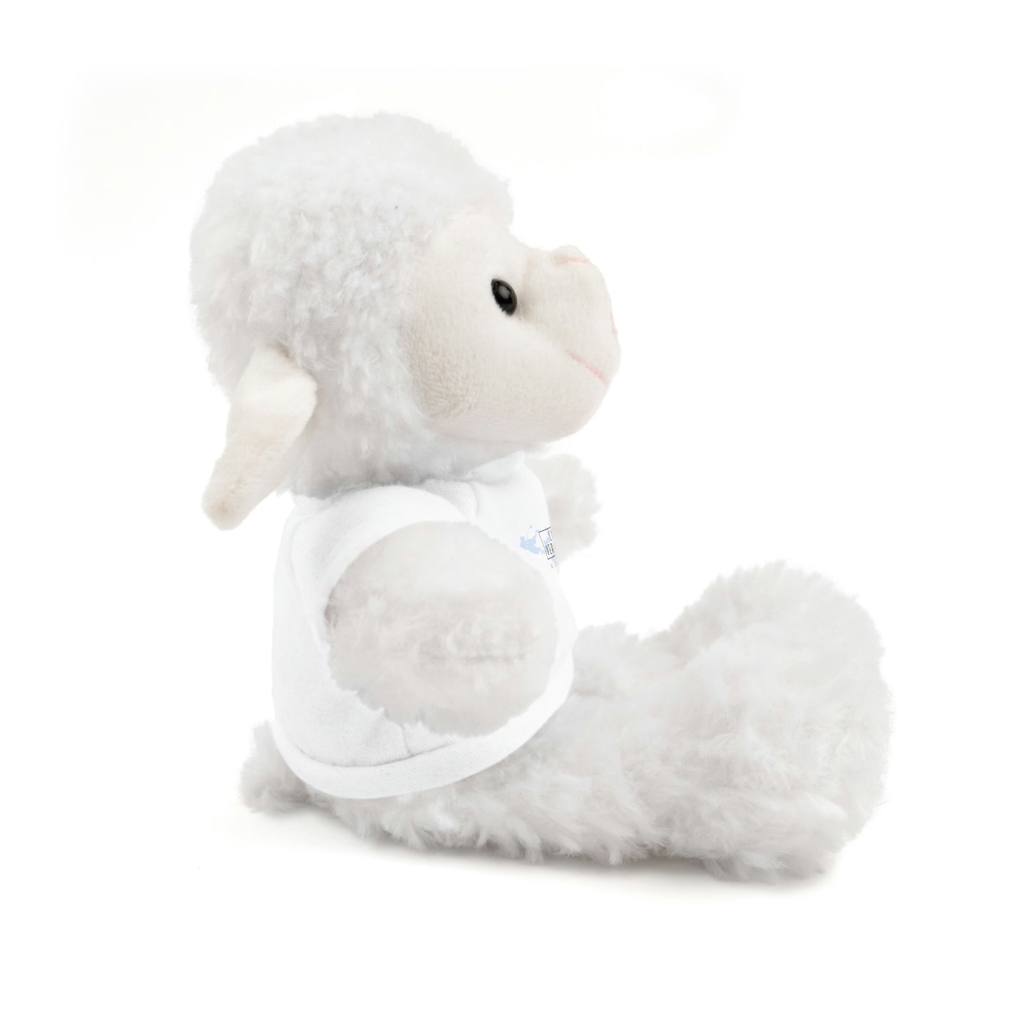 Lake Vermilion - MN - 3+ Toddler / Child - Stuffed Animals with Tee
