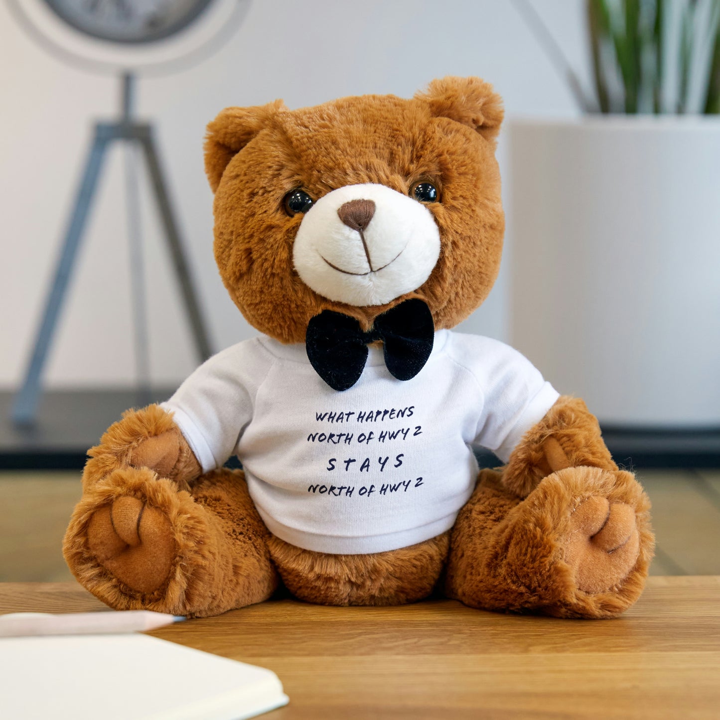 North of Hwy 2 - Teddy Bear with T-Shirt
