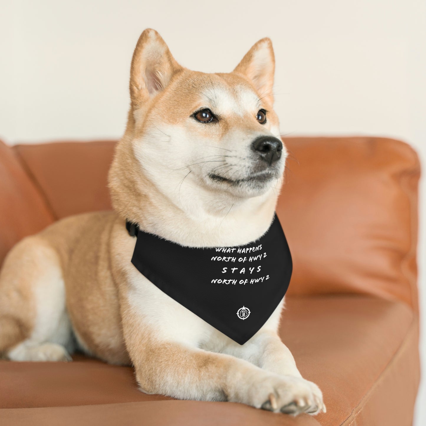 North of Hwy 2 - Pet Bandana Collar - Black