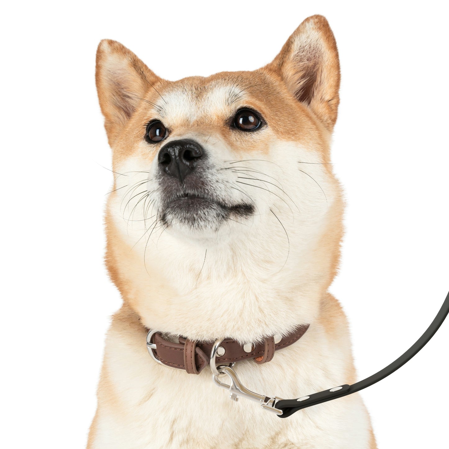 Take Me To The Cabin - Leash