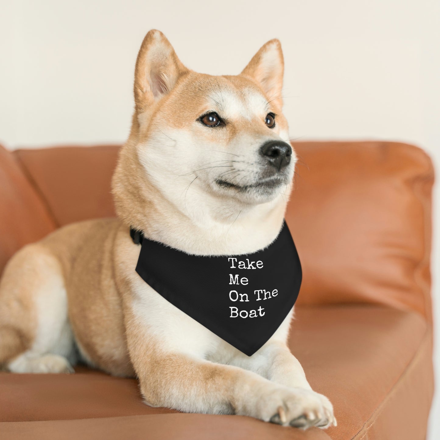 Take Me On The Boat - Cabin / Lake Theme - Pet Bandana Collar - Black